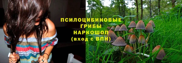 экстази Касимов