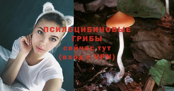 каннабис Карпинск