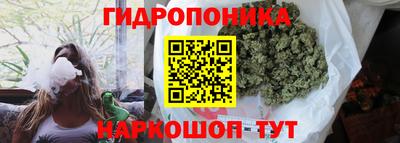 крисы Бузулук