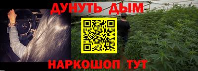 крисы Бузулук