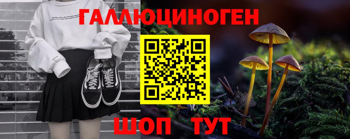Котельники  Галлюциногенные грибы мицелий  Вход с VPN  Галлюциногенные грибы MAGIC MUSHROOMS 