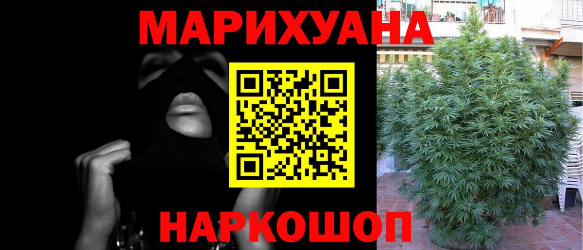 Котельники  Бошки марихуана планчик  Шишки марихуана тримм  Канабис ГИДРОПОН  Вход с VPN 